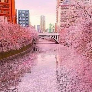 Meet your Posher, Lily